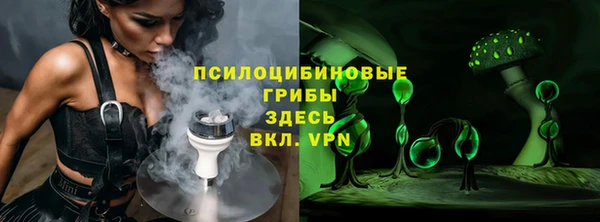 apvp Алзамай